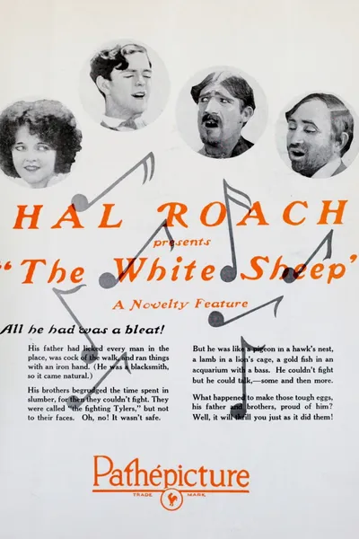 The White Sheep