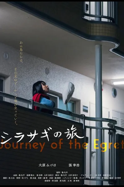 Journey of the Egret