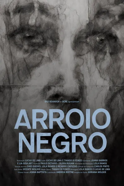 Arroio Negro