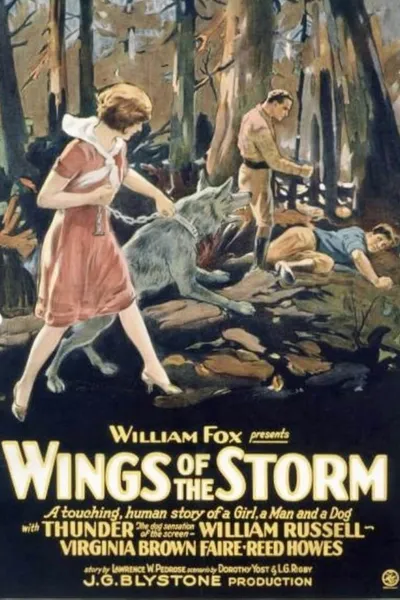 Wings of the Storm