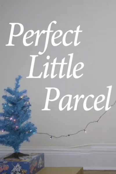 Perfect Little Parcel