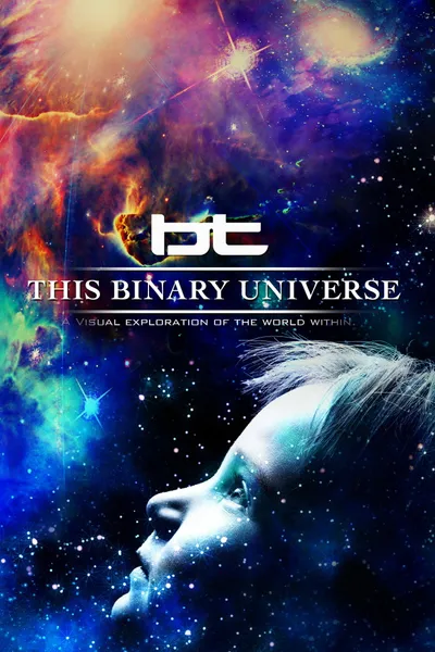 BT - This Binary Universe