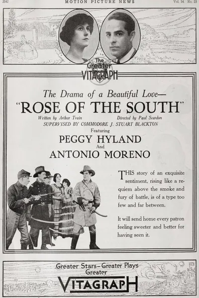 Rose of the South