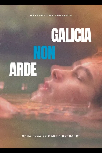 GALICIA NON ARDE