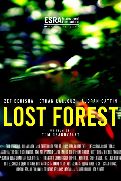 Lost Forest