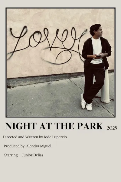 Night at the Park