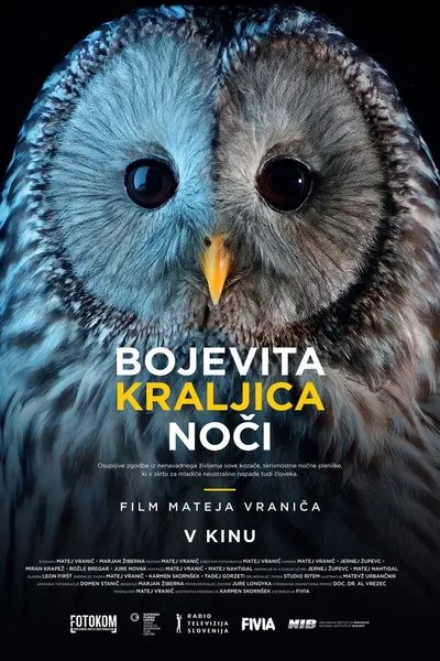 Fearless Queen of the Night