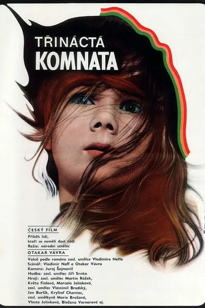 The Thirteenth Chamber