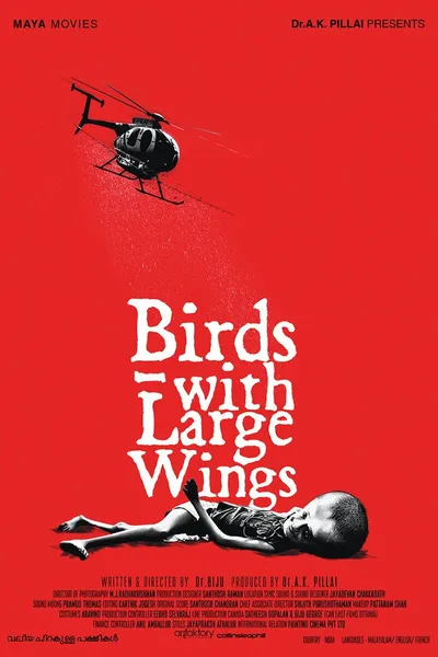 Valiya Chirakulla Pakshikal