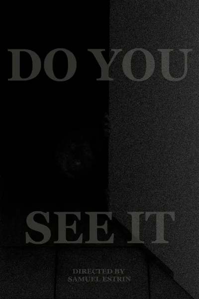 DO YOU SEE IT