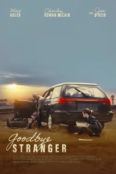 Goodbye Stranger