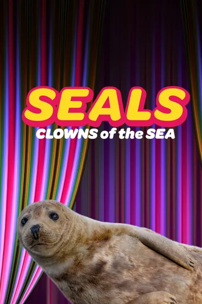Seals - Clowns of the Sea