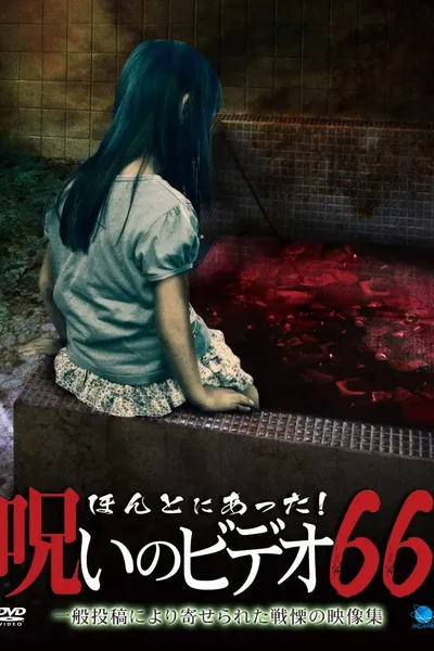 Honto Ni Atta! Noroi No Video 66