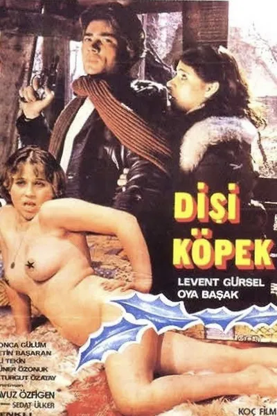 Dişi Köpek