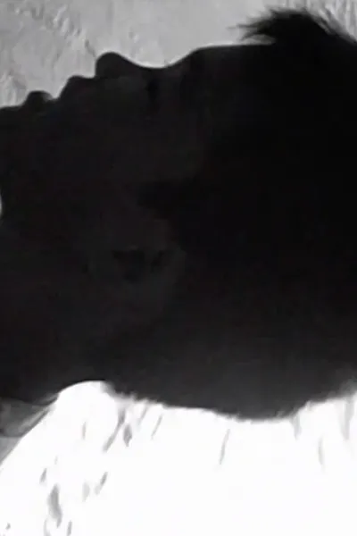 We Won't Grow Old Together