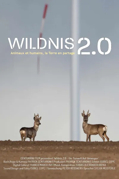 Wildnis 2.0 - Die Tierwelt auf Umwegen