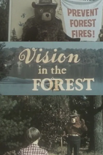 Vision In The Forest