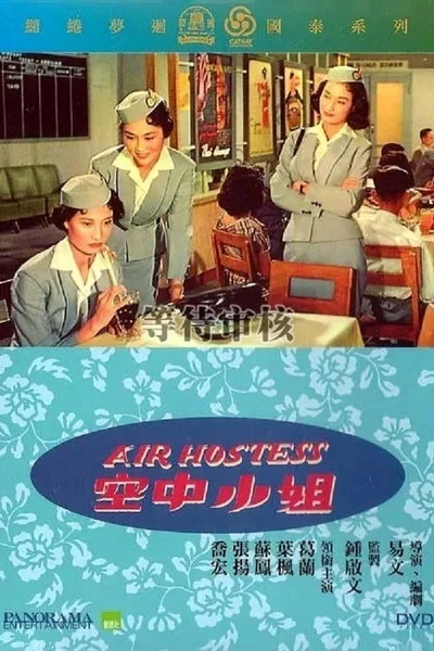 Air Hostess