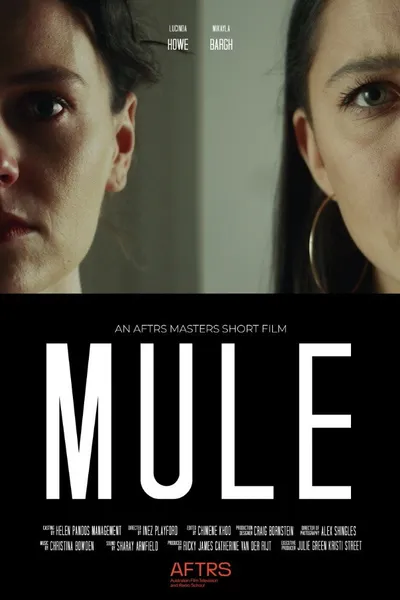 Mule