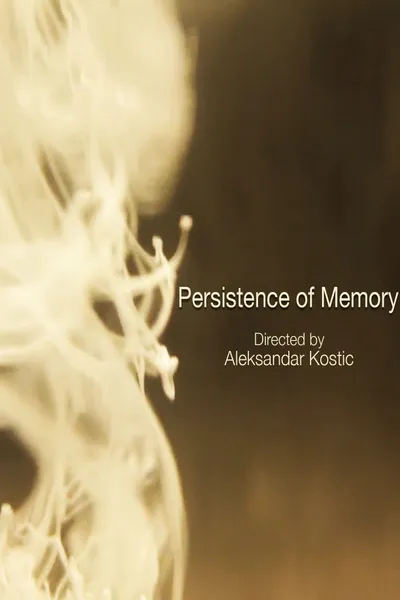 Persistence of Memory