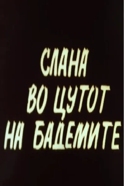 Hoar Frost at the Almond Blossoms