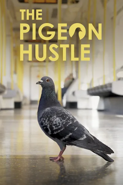 The Pigeon Hustle