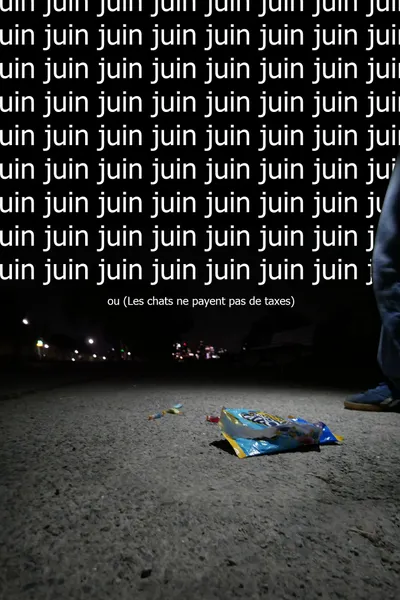 Juin ou  (Les chats ne payent pas de taxes)