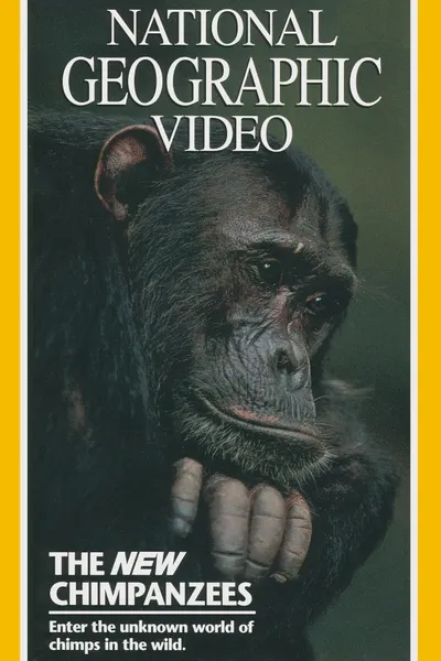 The New Chimpanzees