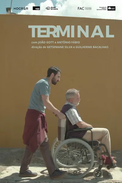 Terminal