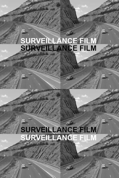 Surveillance Film