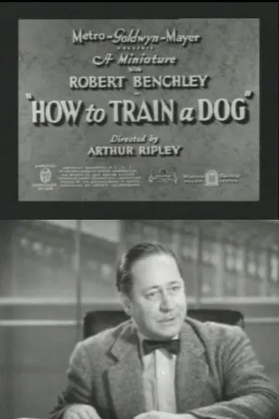 How to Train a Dog