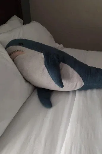 Brutus Shark