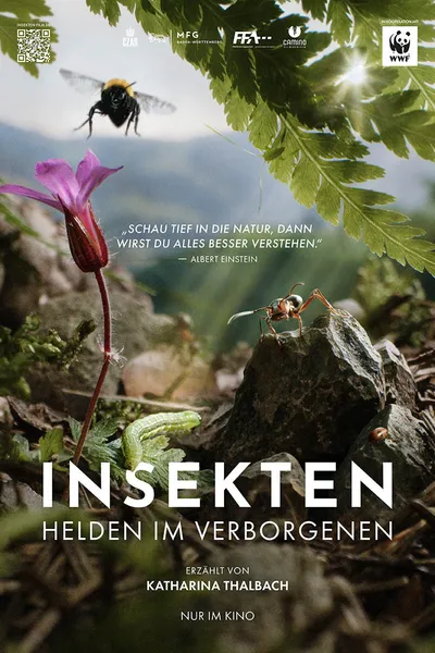 Insects – Hidden Heroes