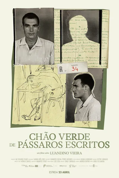 Chão Verde de Pássaros Escritos