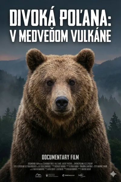 Divoká Poľana: V medveďom vulkáne