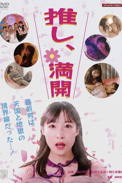 Oshi Is Fully in Bloom