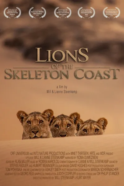 Lions of the Skeleton Coast