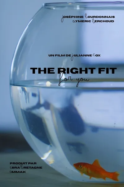 The Right Fit For You
