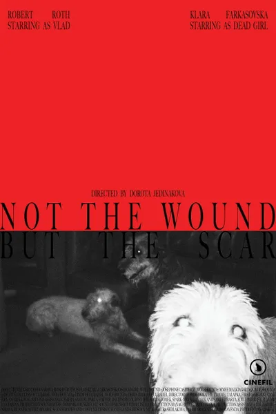 Not the Wound but the Scar