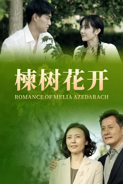 Romance of Melia Azedarach