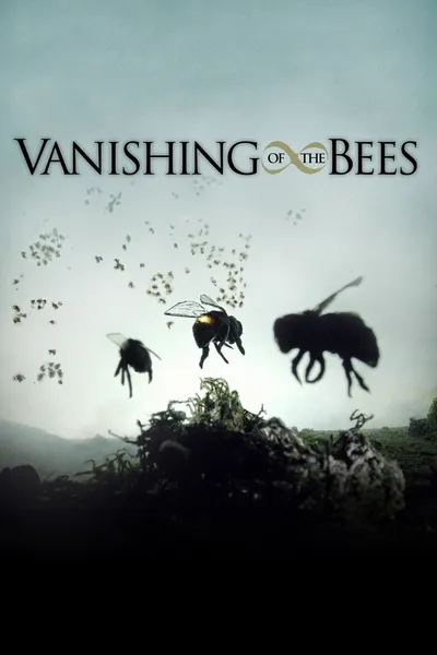 Vanishing of the Bees