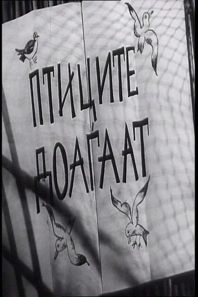 The Birds Are Coming