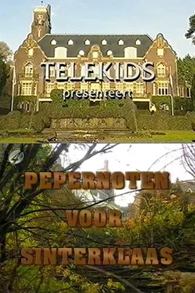 Pepernoten voor Sinterklaas