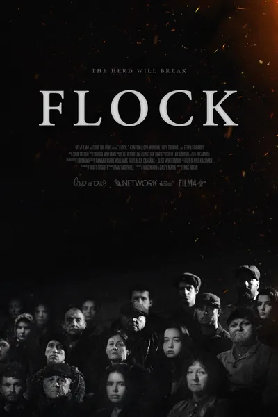 Flock