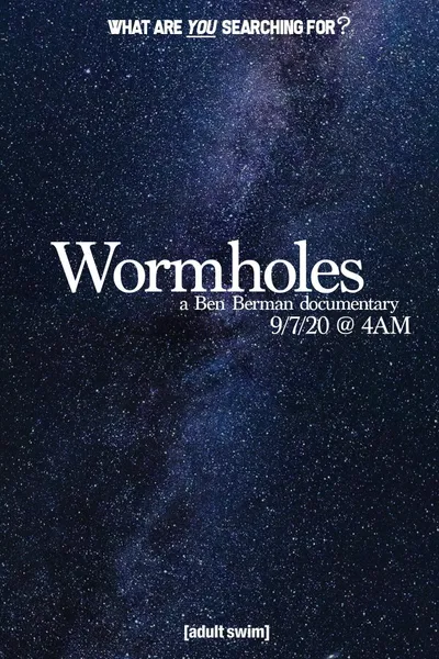 Wormholes