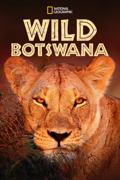 Wild Botswana