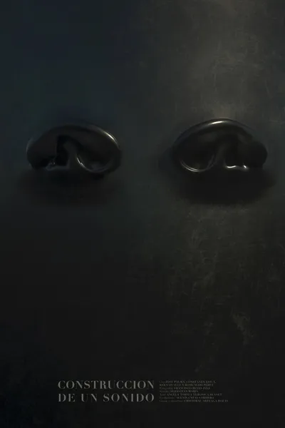 The Construction of a Sound