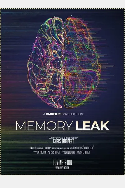 Memory Leak