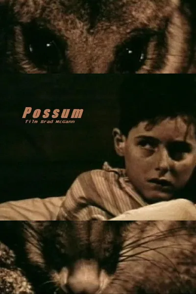 Possum