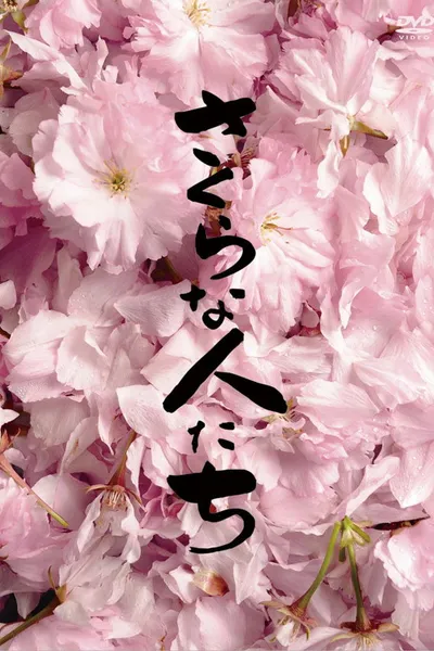 Looking for Cherry Blossoms
